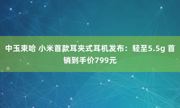 中玉束哈 小米首款耳夹式耳机发布：轻至5.5g 首销到手价799元